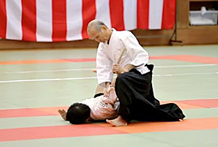 兵庫合気会30周年記念演武大会